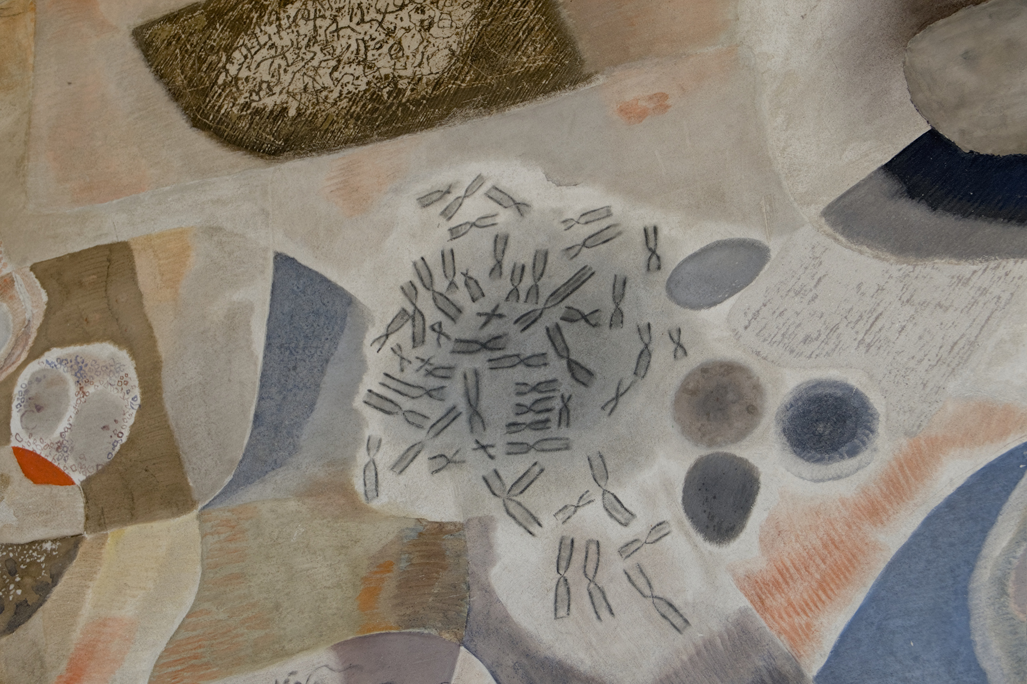 Gino Morandi (Morandis), pittura parietale, 1964-66, atrio del policlinico universitario (Giulio Brunetta, 1957-61), via Giustiniani 2, Padova